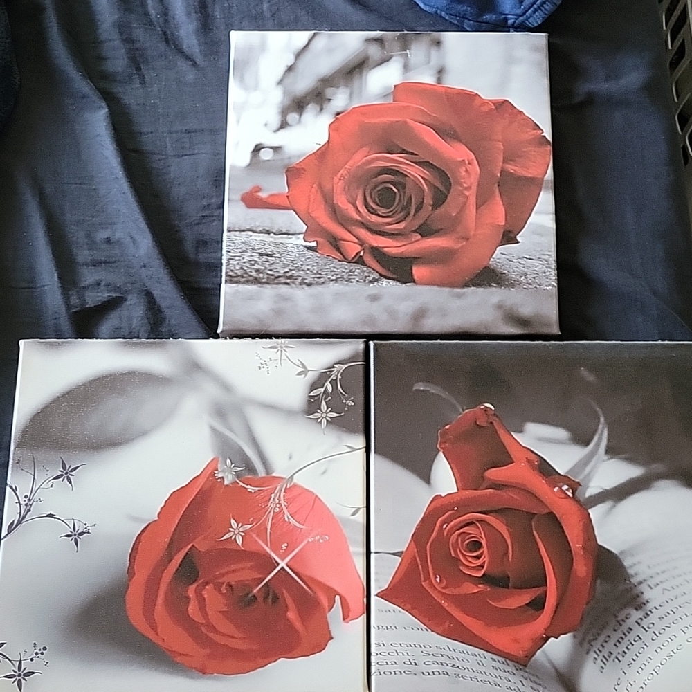 3 wall art pictures